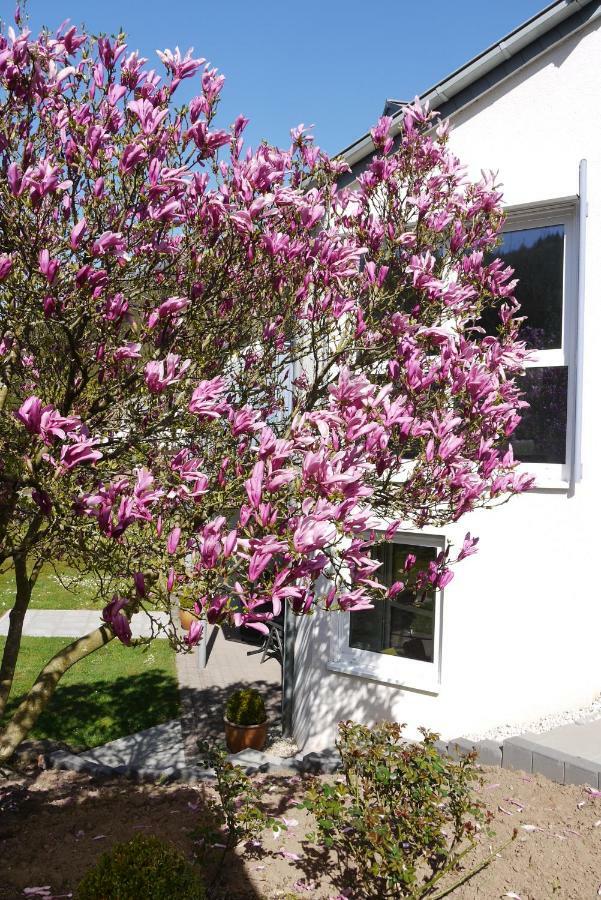 Ferienwohnung "Magnolia" Kordel Zewnętrze zdjęcie